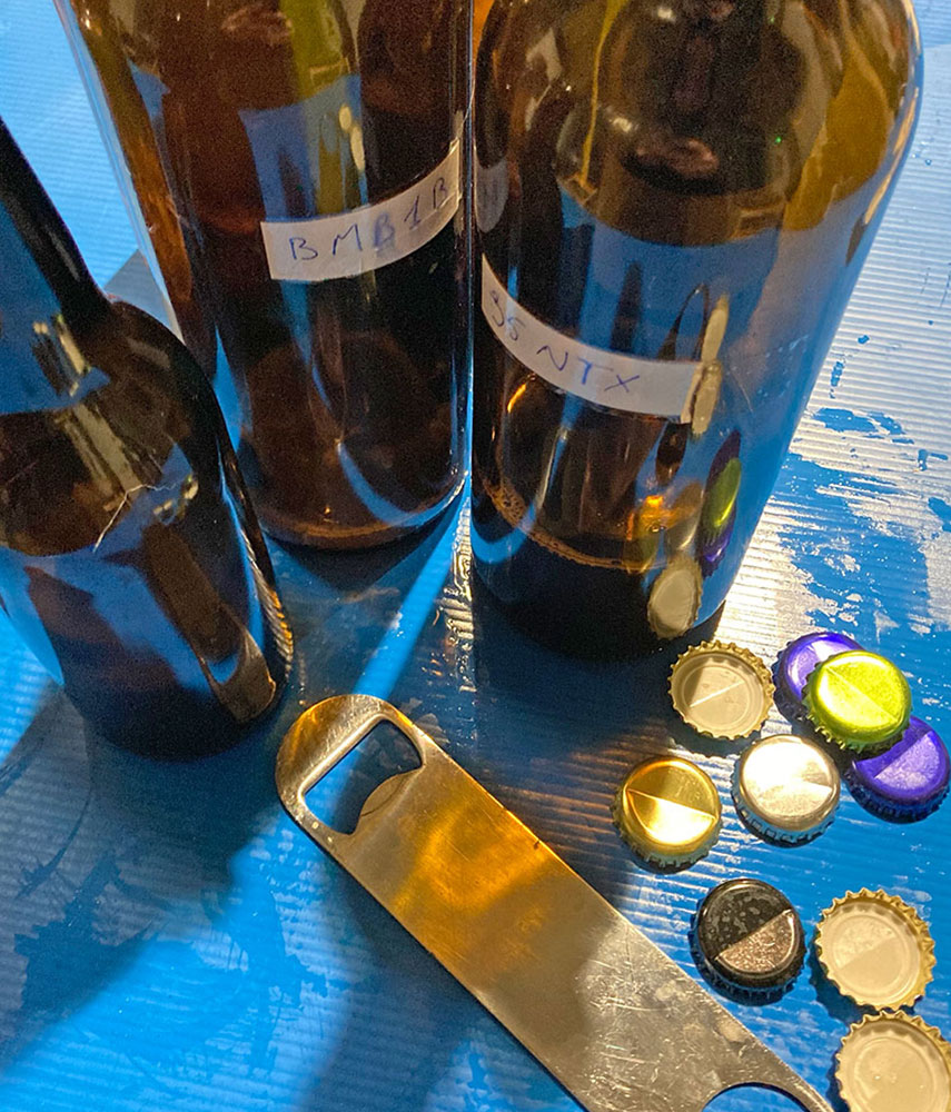 &eacute;chantillons de bi&egrave;re brass&eacute;e maison