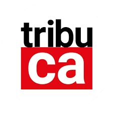 logo tribuca